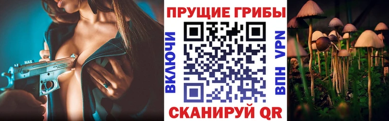 Псилоцибиновые грибы ЛСД blacksprut рабочий сайт Астрахань